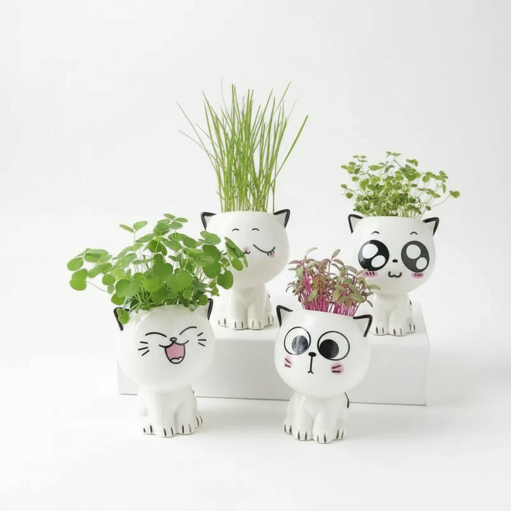 Étendoir à linge mural rétractable en aluminium pliable